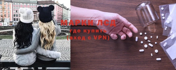 сатива Абинск