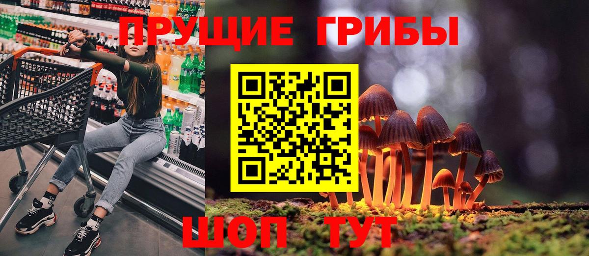 Электросталь  Галлюциногенные грибы прущие грибы  Вход с VPN 